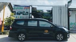 Brallinx Oto paint