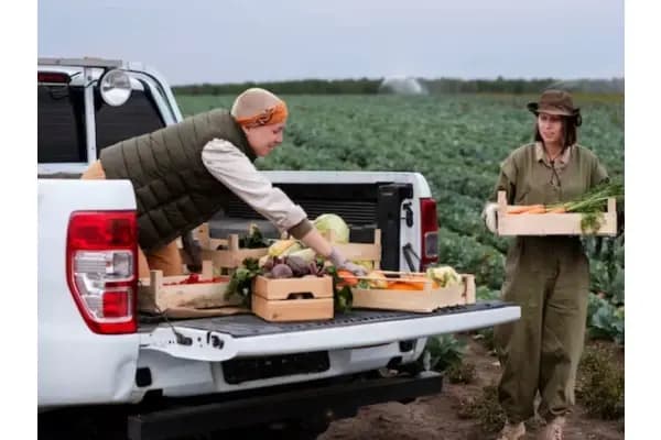 Rekomendasi Mobil Pick Up Bekas, Cocok untuk Memulai Usaha