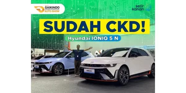 Hyundai Ioniq 5N, EV Gahar Hadir di GIIAS 2024!